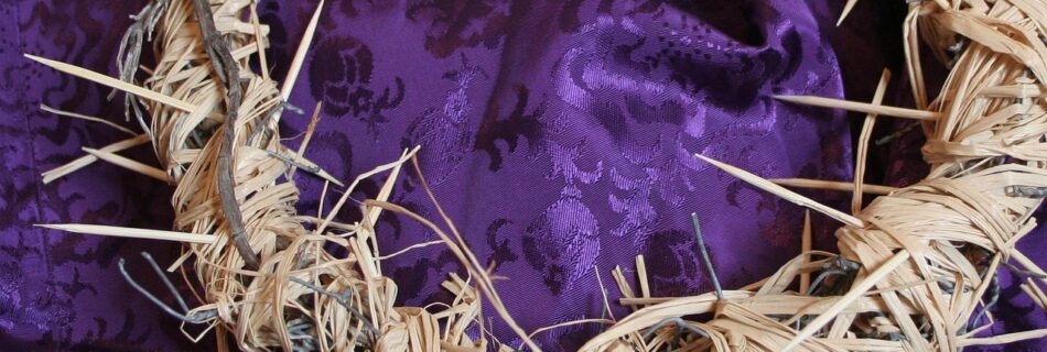 crown of thorns, jesus, crucifixion, good friday, holy week, holy, torture, christ, easter, calvary, faith, catholic, passion, catholicism, christian, crown, devotion, christianity, religion, religious, symbol, crucified, tradition, purple, purple robe, royal, king, jews, jesus christ, submission, good friday, good friday, good friday, good friday, good friday, holy week, holy week, holy week, holy week