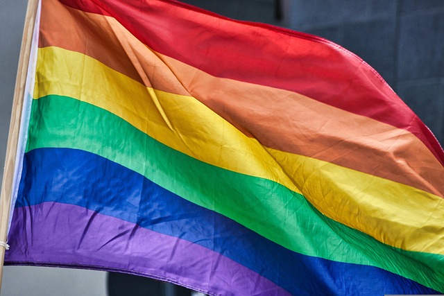 pride flag, pride, homosexual, love, colorful, rainbow flag, lgbtqia, pride month, world pride