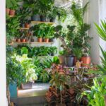 A bright room filled with diverse tropical plants in pots, creating a lush indoor garden.