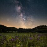 starry sky, flower meadow, beautiful flowers, night, milky way, landscape, universe, nature, flowers, flower background, flower wallpaper, meadow, galaxy, astronomy, space, earth, long exposure