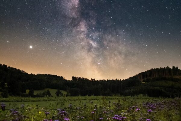 starry sky, flower meadow, beautiful flowers, night, milky way, landscape, universe, nature, flowers, flower background, flower wallpaper, meadow, galaxy, astronomy, space, earth, long exposure