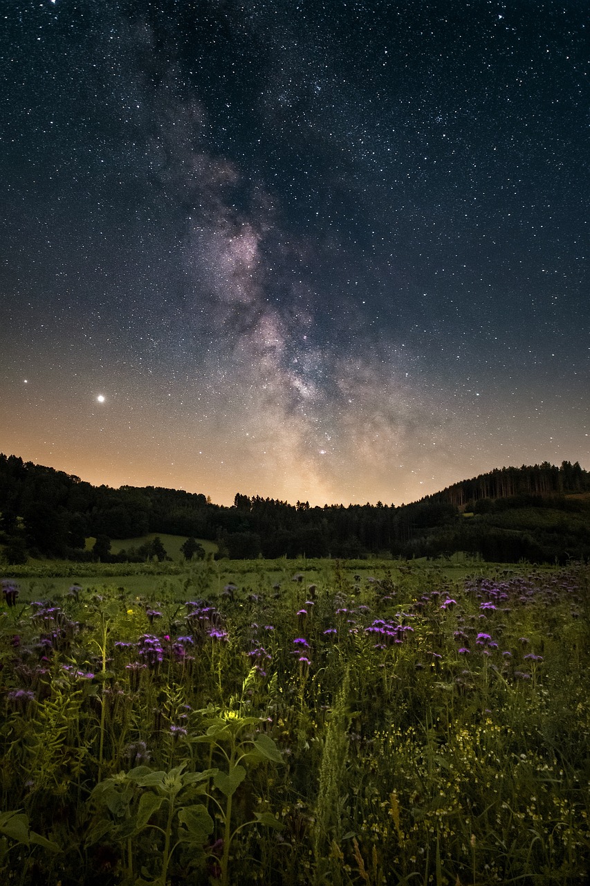 starry sky, flower meadow, beautiful flowers, night, milky way, landscape, universe, nature, flowers, flower background, flower wallpaper, meadow, galaxy, astronomy, space, earth, long exposure